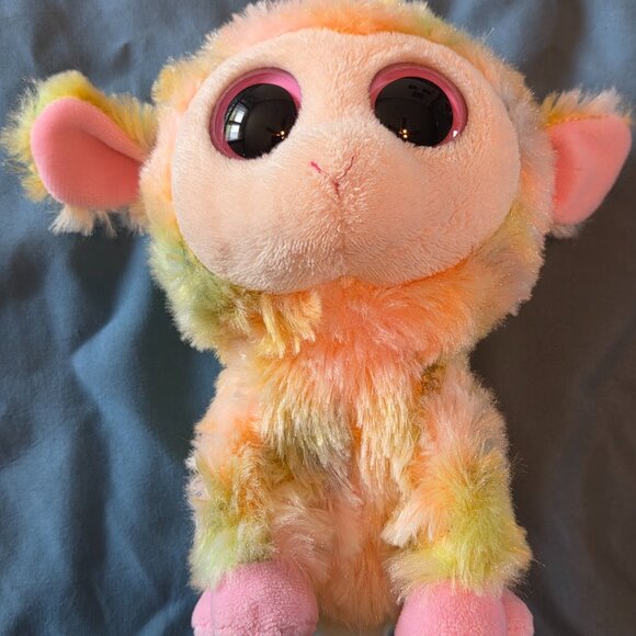 Ty Beanie Boo BLOSSOM the Lamb 6" Plush Stuffed Animal Toy 2012 - Picture 1 of 6